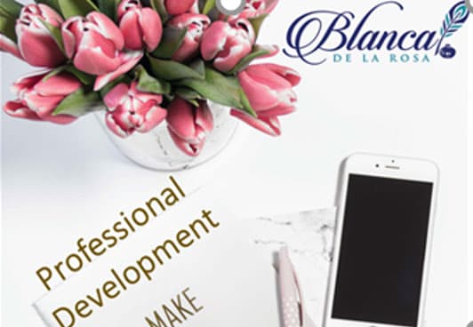 Professional development workshop